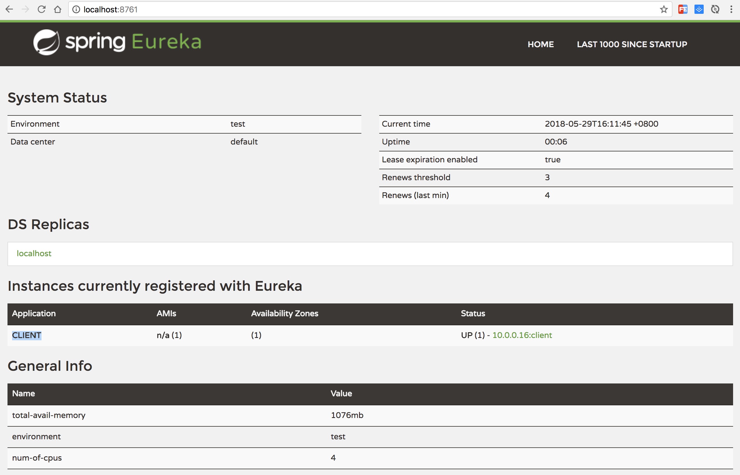 eureka client registered